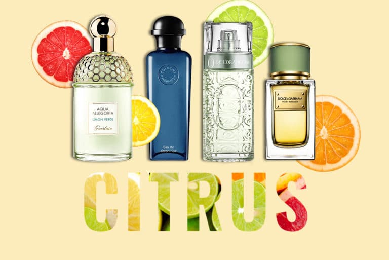 Best citrus perfumes