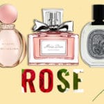 Best rose perfumes