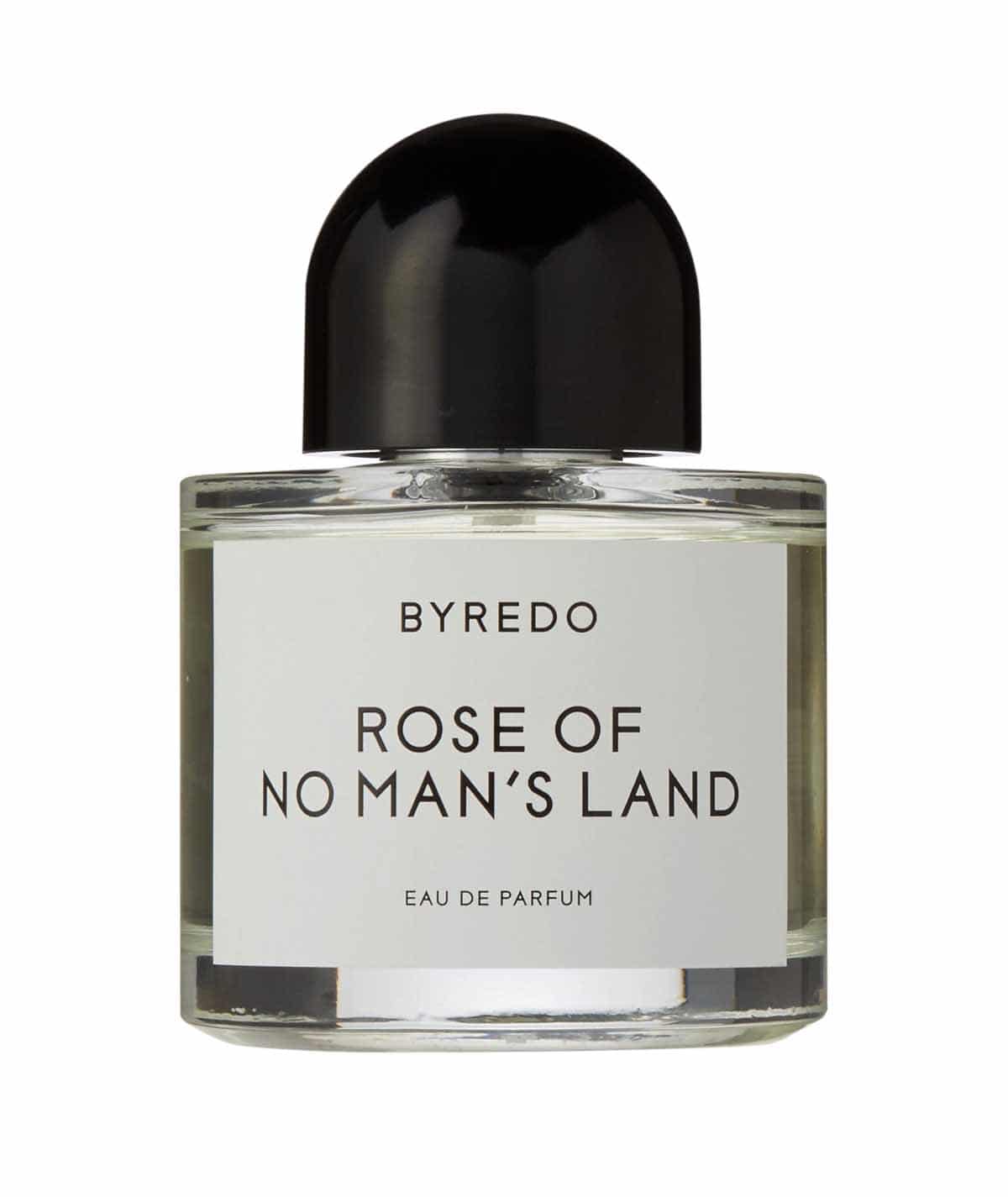 The Best Rose Perfumes to Try in 2023 - FragranceReview.com