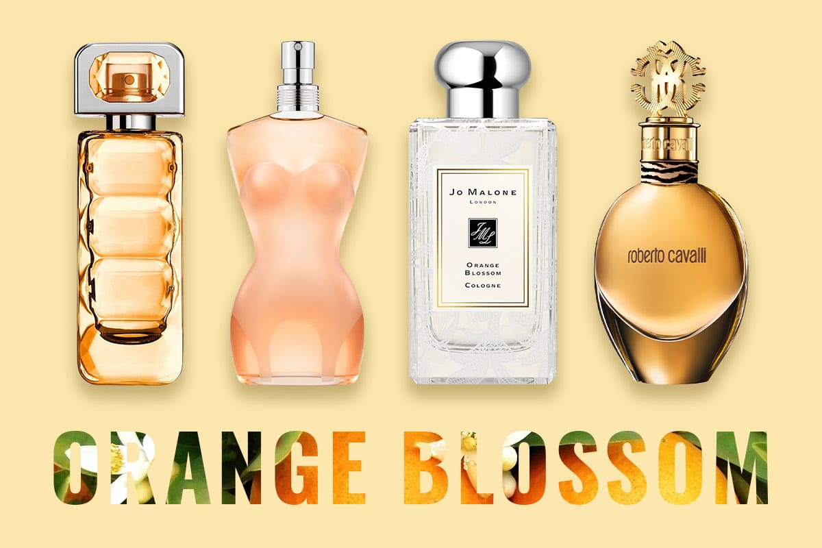 Best Orange Blossom Perfume