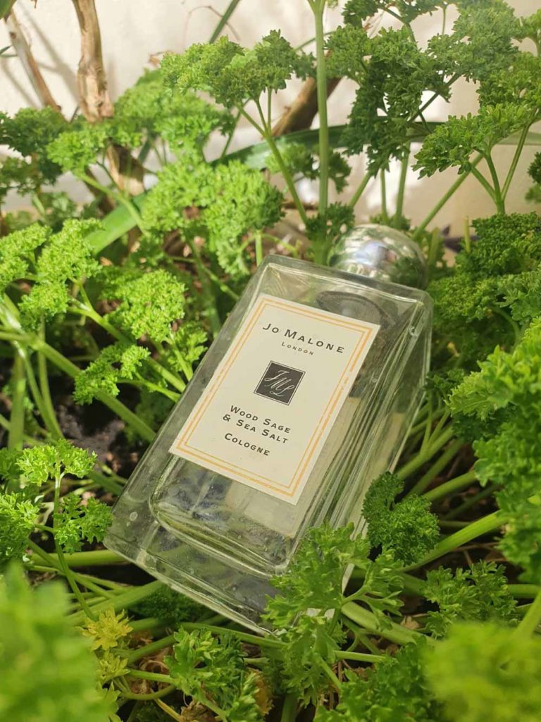 Jo Malone Wood Sage Sea Salt Smell Review