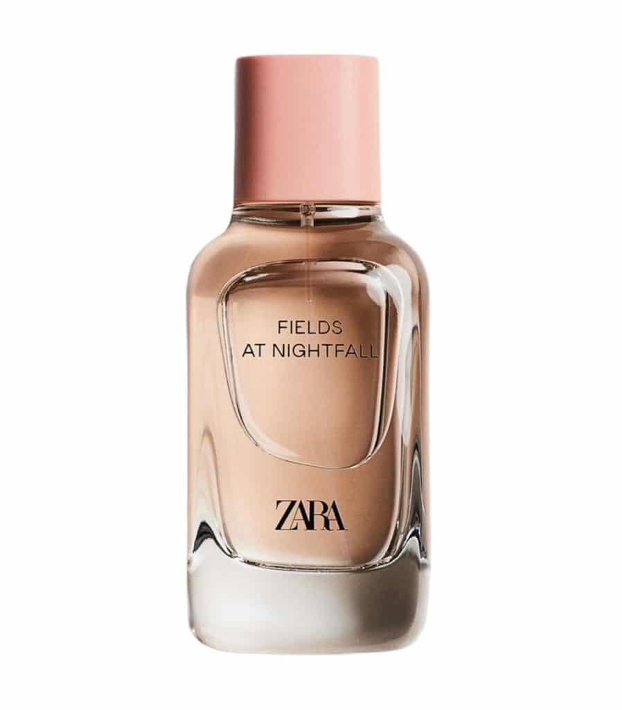 Zara Perfume Dupes (Updated 2023 List) 