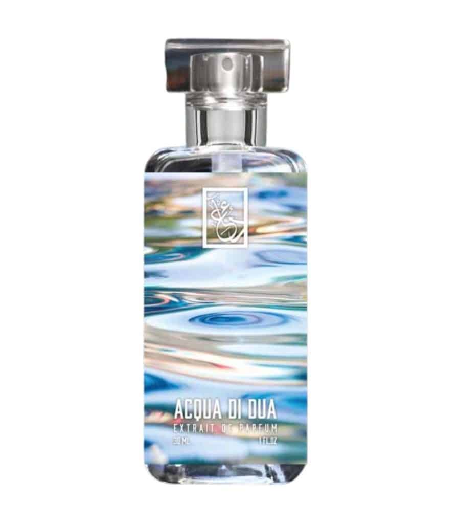 acqua di gio zara clone
