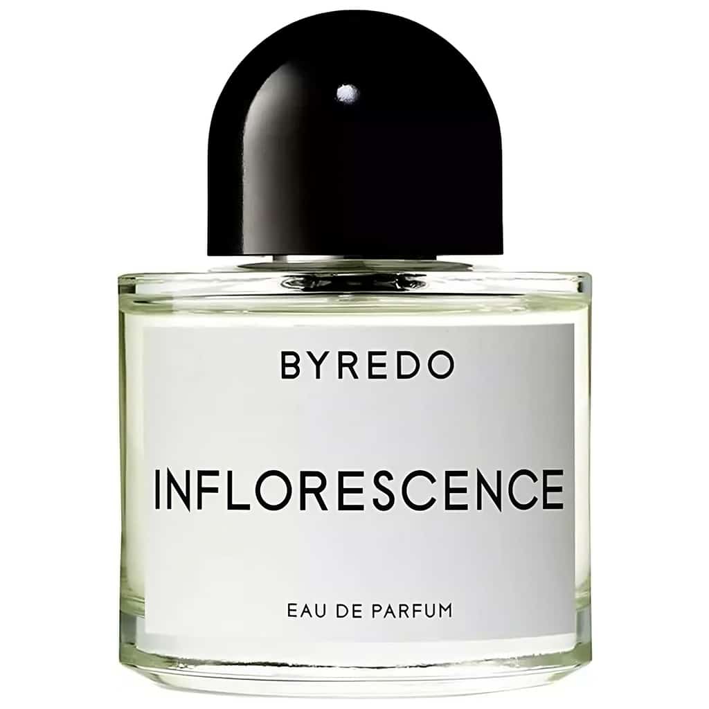 byredo inflorescence