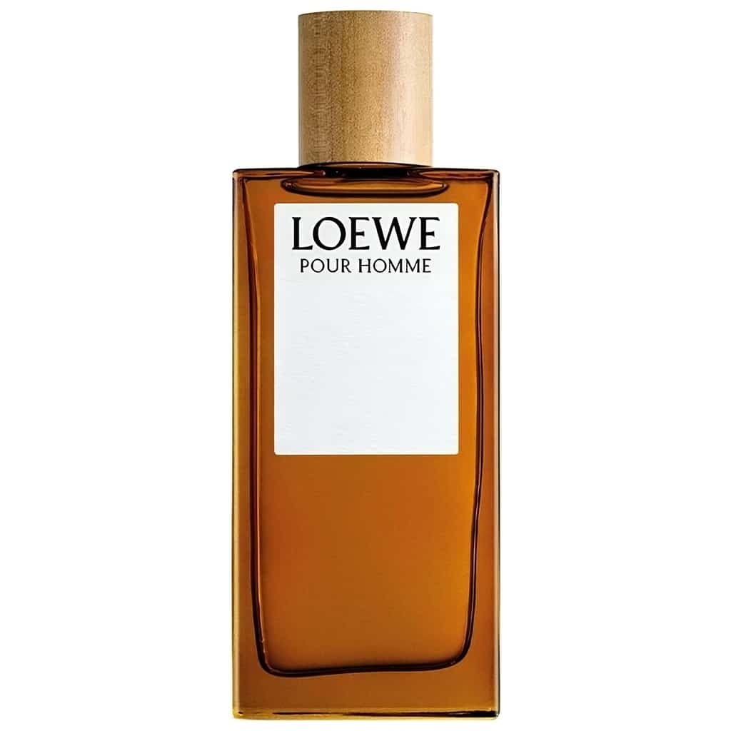 Loewe pour Homme by Loewe