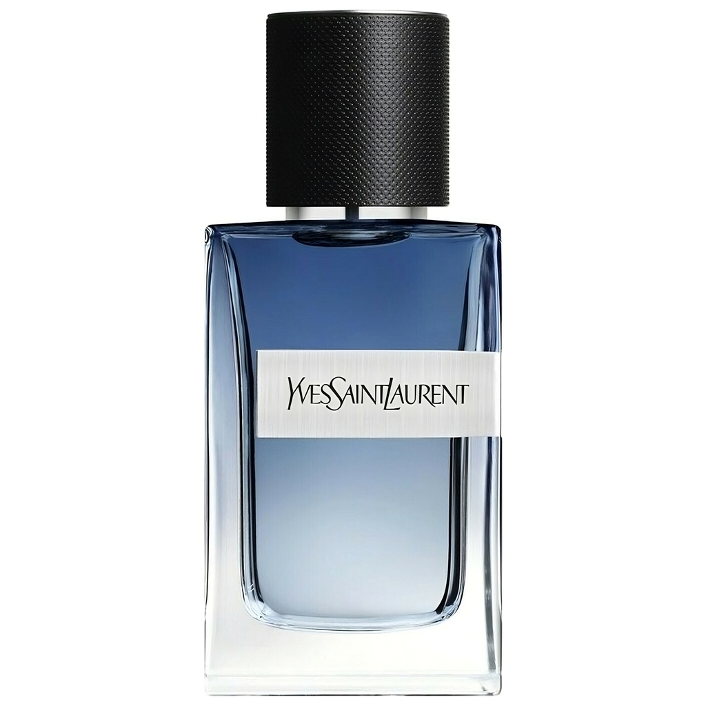Y Live perfume by Yves Saint Laurent - FragranceReview.com