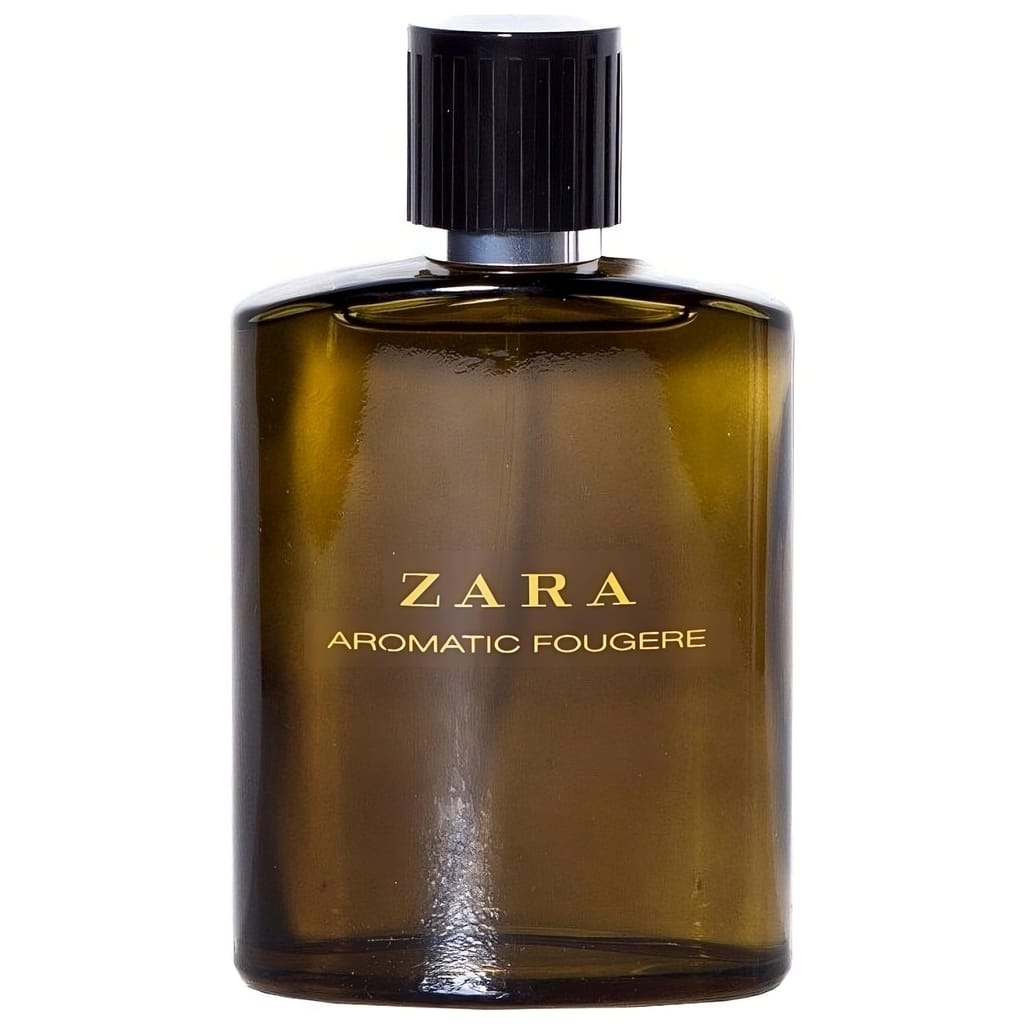Aromatic Fougere by Zara