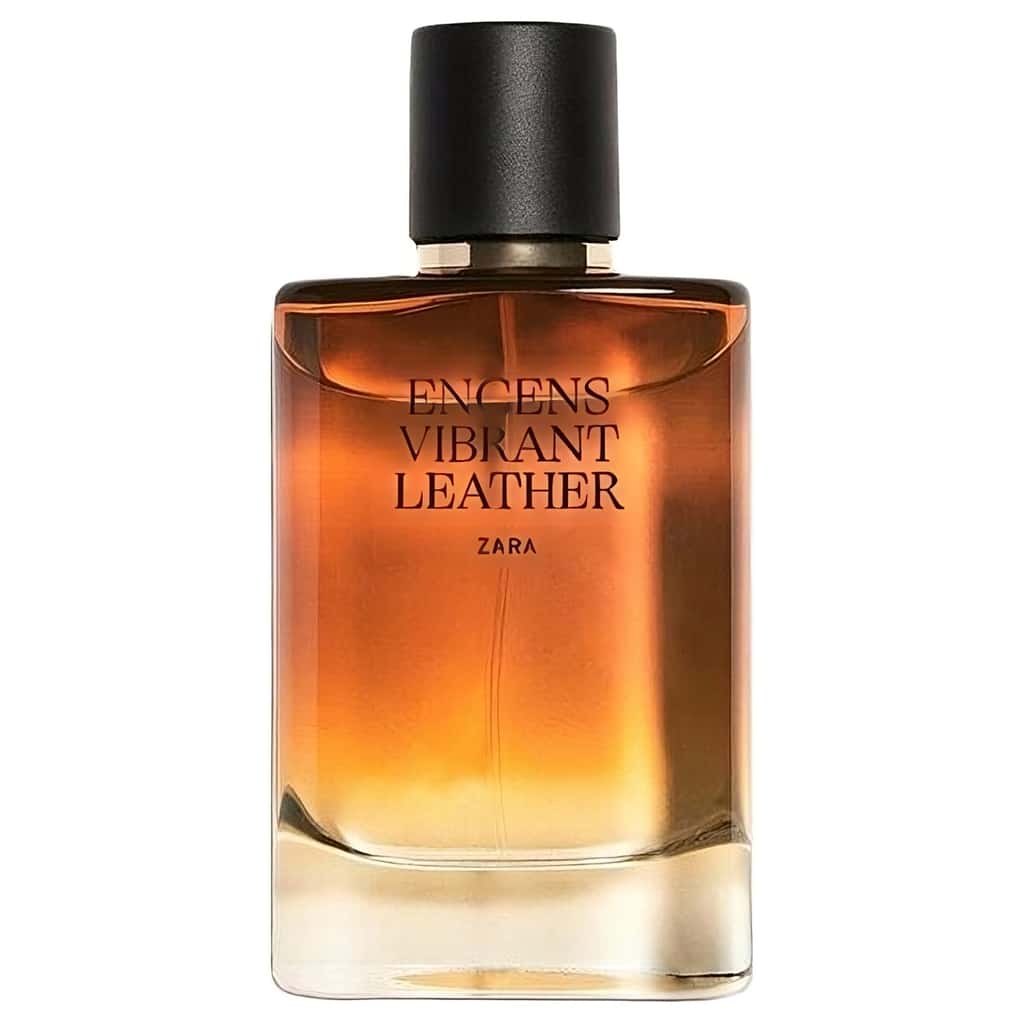 Zara eau sales de gingembre noir