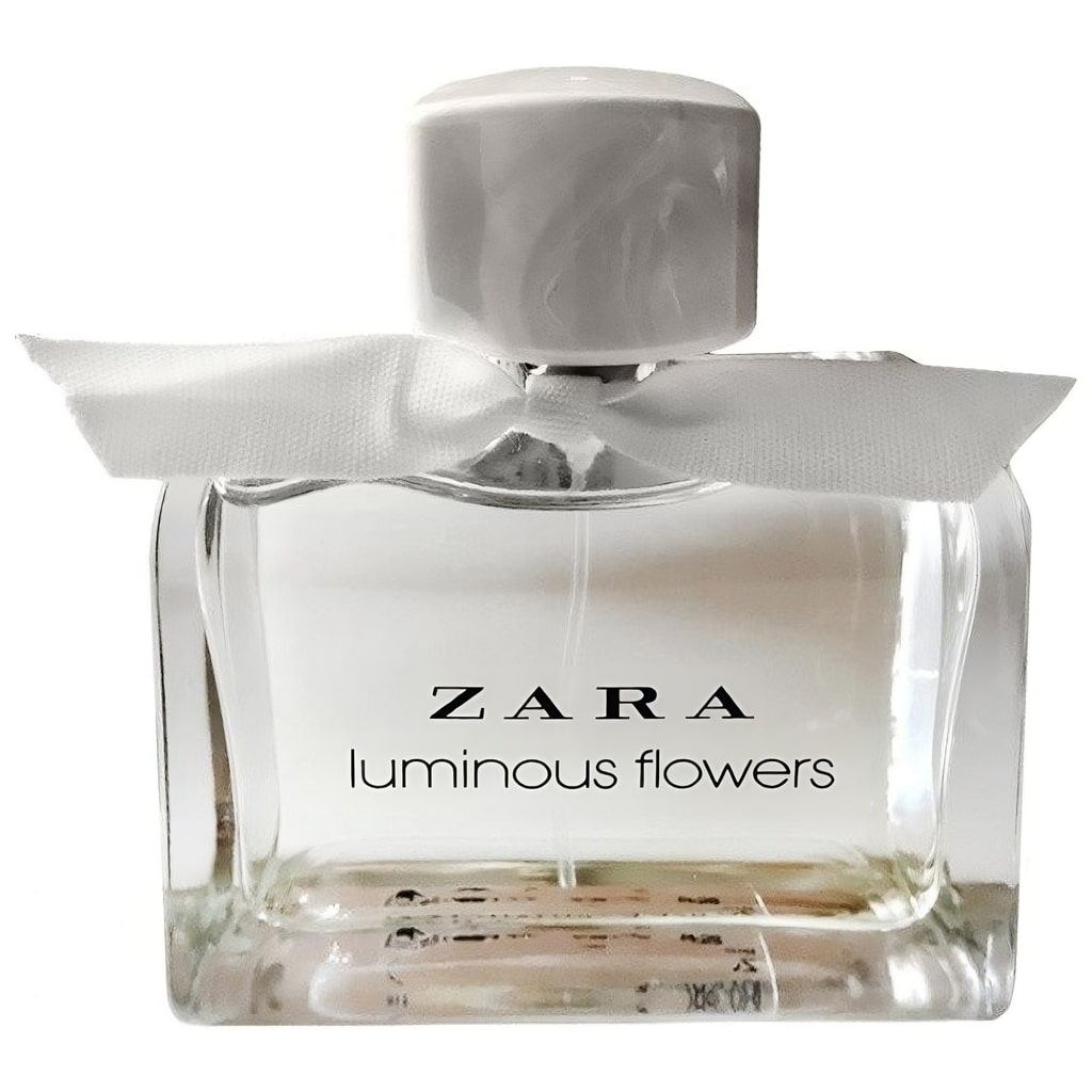Luminous Flowers by Zara