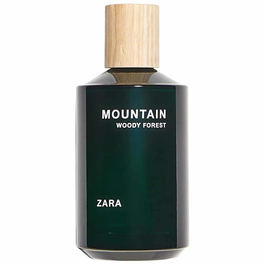 Mountain Woody Forest by Zara