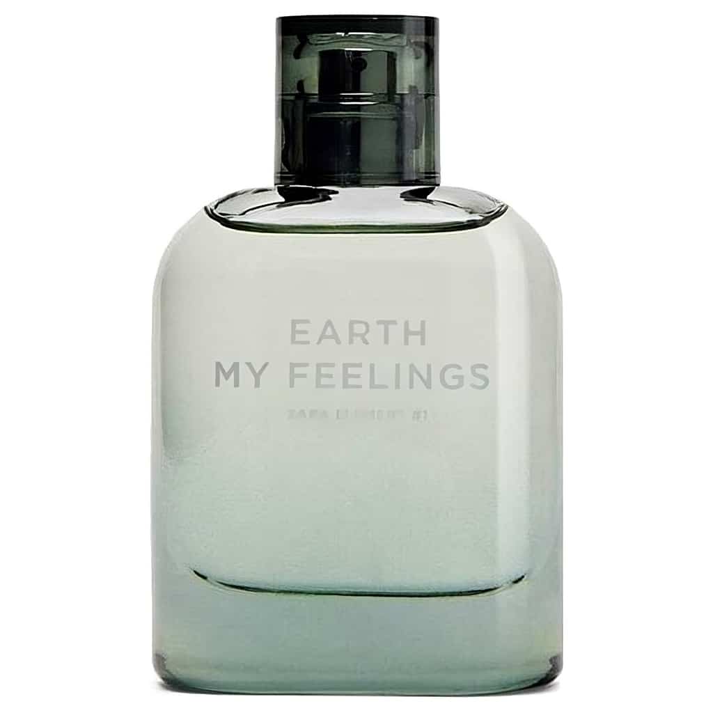 Earth My Feelings by Zara