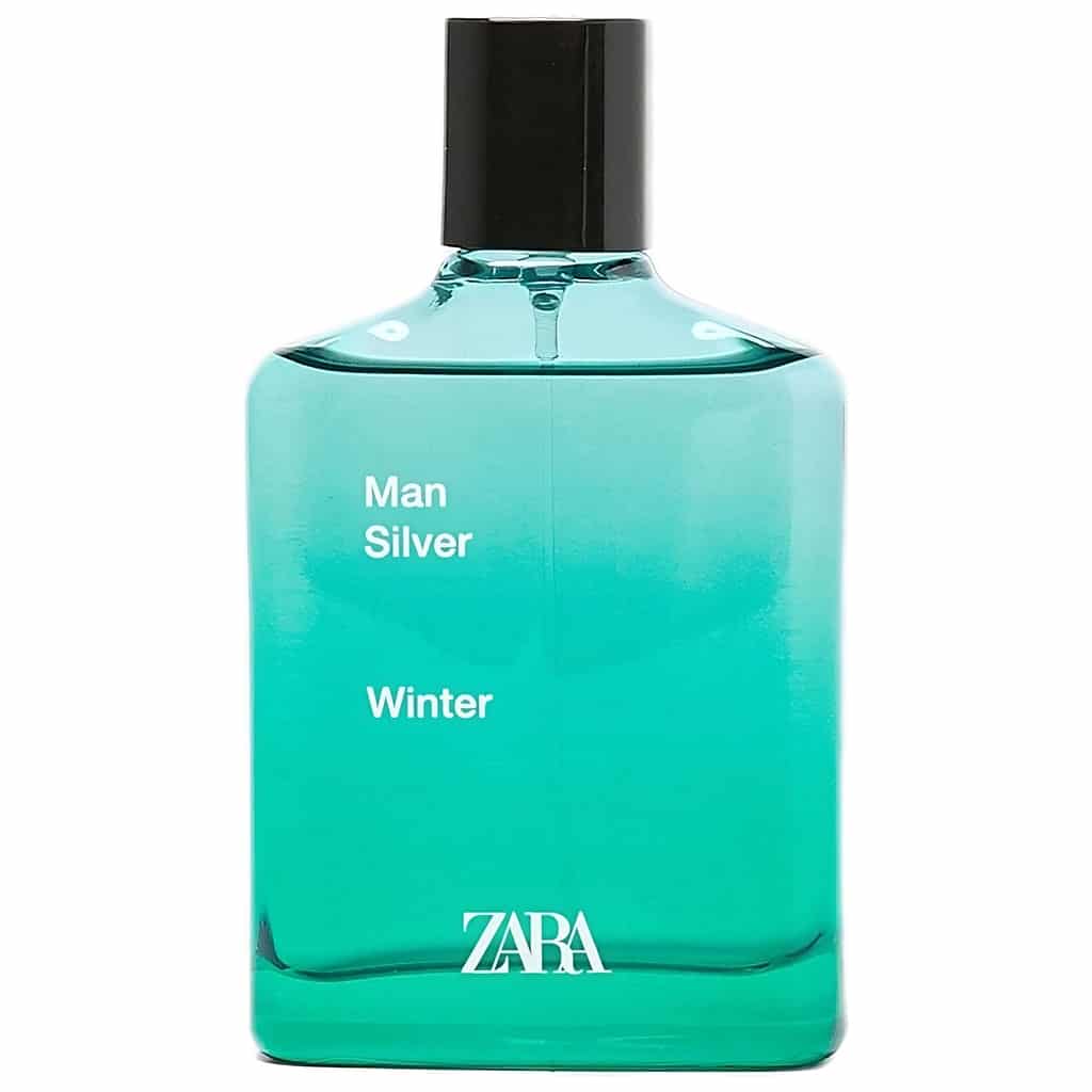 Zara Man Silver Winter by Zara